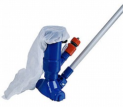 ���� ������  ������ ����