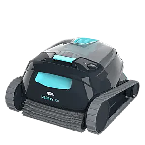 ����� ���� ������ ���� - Dolphin LIBERTY 300